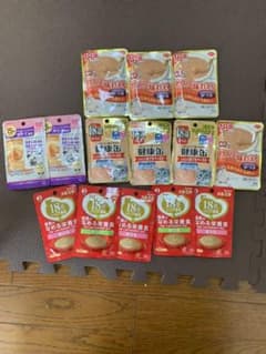 18歳からのペースト　12食分＋おまけ2食　キャットフードのサムネイル