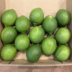 広島県産 瀬戸内レモン 農薬不使用 13個 1.34kg⑤ - メルカリ
