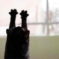☆専用☆のサムネイル