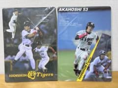 阪神タイガース 赤星憲広 下敷き 2枚セット - メルカリ