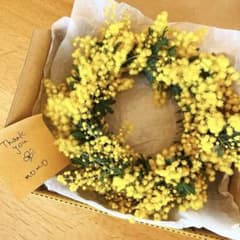 再販⌘フレッシュミモザリースのサムネイル