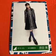 欅坂46 生写真 ヒキのサムネイル