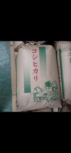 京都丹波産コシヒカリ30kg - メルカリ