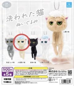 洗われた猫　ぬいぐるみ お屋敷の猫のサムネイル