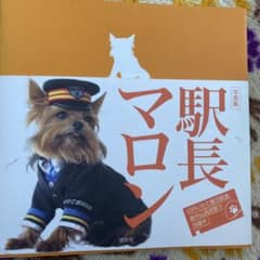 駅長マロン : 写真集のサムネイル