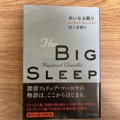大いなる眠りのサムネイル