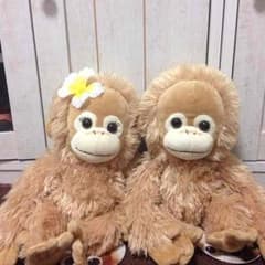 ベイビーココのぬいぐるみセットのサムネイル