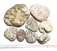 青森県産 津軽錦石 ジャスパー 混じり瑪瑙化 球顆流紋岩 原石 まとめ