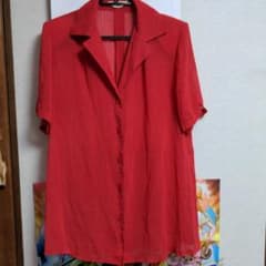 本日のみ値下げ!新品、未着用ブラウスのサムネイル