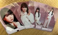 稲熊ひな 生写真 摩擦係数 コンプ 櫻坂46 最安値のサムネイル