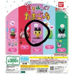 まめっち　ガチャガチャのサムネイル
