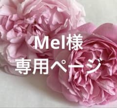 Mel様専用ページのサムネイル