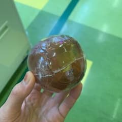 ワンピの実　さぼのサムネイル