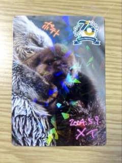 鳥羽水族館 ラッコ メイちゃん トレーディングカード - メルカリ