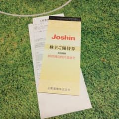 上新電機株式会社 株主ご優待券　josinのサムネイル