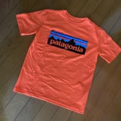パタゴニア　半袖　Tシャツのサムネイル