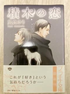 積木の恋のサムネイル