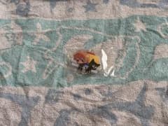 Top4 アクリルスタンド アクキーのサムネイル