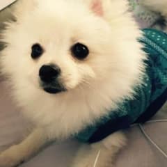 AK様専用♡⃜のサムネイル