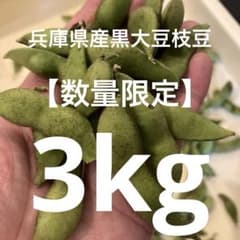 【数量限定】黒大豆枝豆　規格外品　さやのみ　大容量のサムネイル