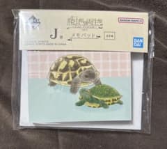 爬虫類一番くじ J賞 メモパッド リクガメとミズガメのサムネイル