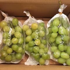 のんさま シャインマスカット 訳ありのサムネイル