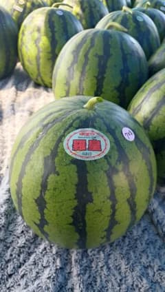 青森県産　スイカ　羅皇　7㌔　1玉のサムネイル