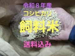 鳥用 穀物ミックス エサ 混合シードのサムネイル