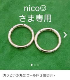 専用ページ カラビナ②のサムネイル