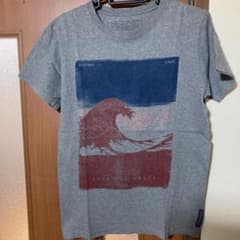 Patagonia パタゴニア Tシャツ グレー Sのサムネイル