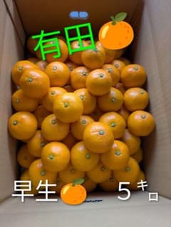 美味しい有田みかん　早生５㌔のサムネイル