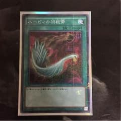ハーピィーの羽根箒のサムネイル