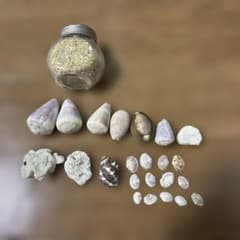 Thumbnail of １月末で掲載終了予定　屋久島の天然貝殻・珊瑚礁・石・砂セット