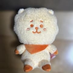 BT21 RJ 레인보우 컬러 인형