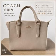 COACH コーチ ハンドバッグ レザー ライトグレー ホワイト ベージュのサムネイル