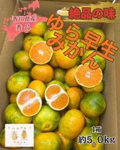 【秀品】香川県産 ゆら早生みかん 約5.0kg 産地直送のサムネイル
