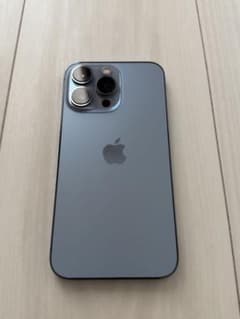 a*0様 【香港版・シャッター音なし・デュアルSIM】iPhone 13 Pro