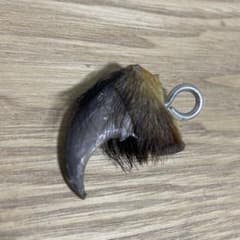 き*ん様 希少　クマの爪 クマの肉と毛付きのサムネイル
