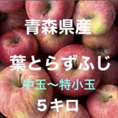 青森県産【葉とらずふじ】ご自宅用になります【ラスト1箱】のサムネイル
