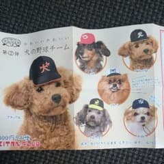 犬の野球チーム  帽子のサムネイル