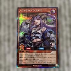 極光のライジング アクノリのブラスデス シークレット 絵違い - メルカリ