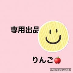 専用出品　りんごのサムネイル