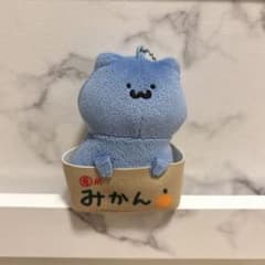문구와 함께 상자 들어간 마스코트 키 체인 귤 고양이 씨