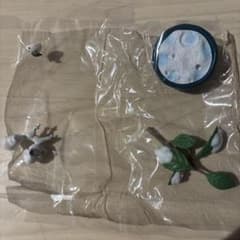 ポケモン ぽけっとBONSAI ロコン アローラのすがたのサムネイル