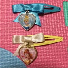 プリンセスのピン留め♡のサムネイル