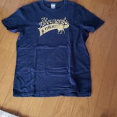 abercrombie mens  Tshirt   LARGEのサムネイル