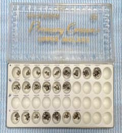 m87314523977_1.jpg?1733829545