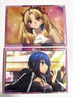 [익명 배송] FGO 이치 반 쿠지 G상 일러스트 보드 스탠드 시엘 엘레슈키갈