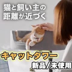 【新品】新発想キャットアーム 猫ベッド【24時間以内配送】 新品】新発想キャットアーム 猫ベッド【24時間以内配送】 - メルカリ