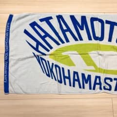 秦基博　10周年横浜スタジアム　バスタオルのサムネイル